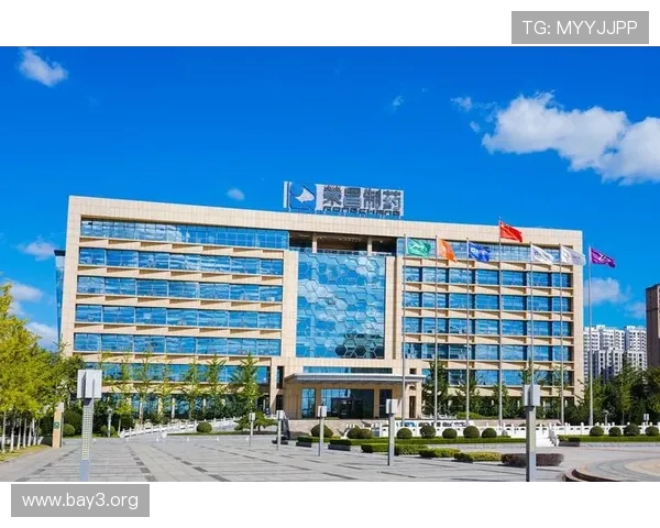 凯发k8一触即发：安全稳定的平台保障玩家资金与信息安全