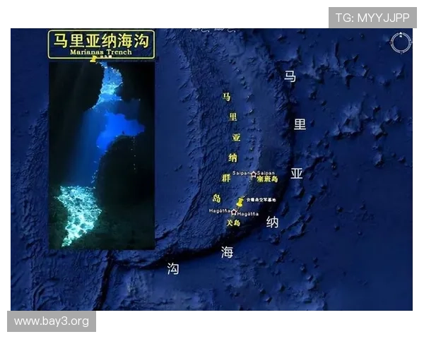 金鲨银鲨:探索海底金银财宝的传说与海洋探险者的精彩冒险经历 金鲨银鲨:探索海底金银财宝的传说与海洋探险者的精彩冒险经历