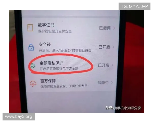 凯发体育app下载：安全可靠的下载渠道推荐，保障您的账号信息安全与使用顺畅